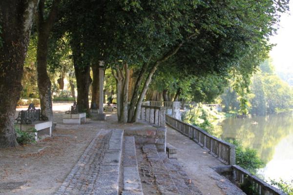 Altamira Caldas De Reis